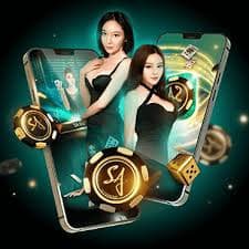 iw365 app ဘင်ဂို ကစားနည်း – Myanmar ကစားသူ Bingo Card နှင့် ဘော်လုံးများ ကစားနေသောမြင်ကွင်း